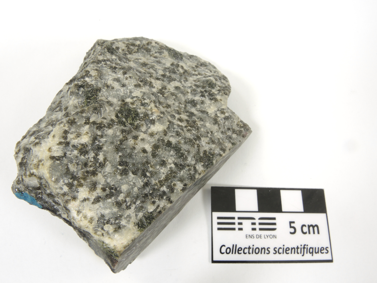 Gabbro Gabbro isotrope du Complexe intrusif de Rum Province magmatique des Hébrides Rùm  